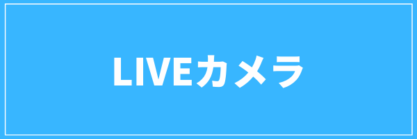 LIVEカメラ