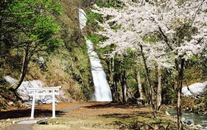 不動滝キャンプ場