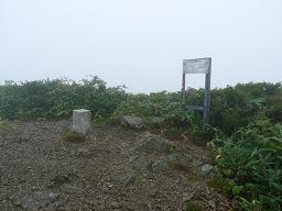 黒岩山山頂・珍しいサルのコシカケ