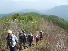 白鳥山頂上付近（東側を望む）