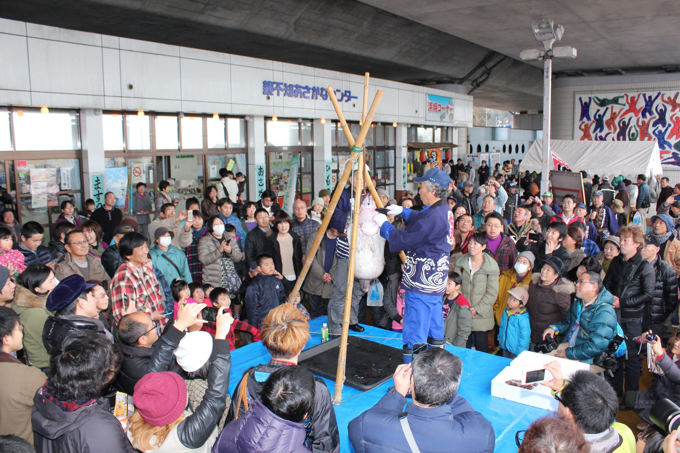 糸魚川 あんこう