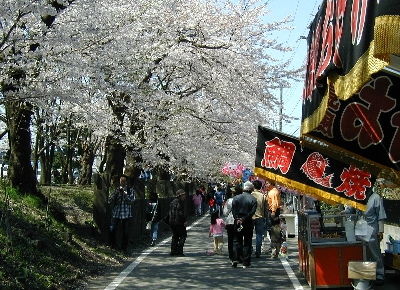 参道に並ぶ桜と露店も祭りの楽しみです