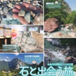 糸魚川定期観光バス2023夏　石と出会う旅