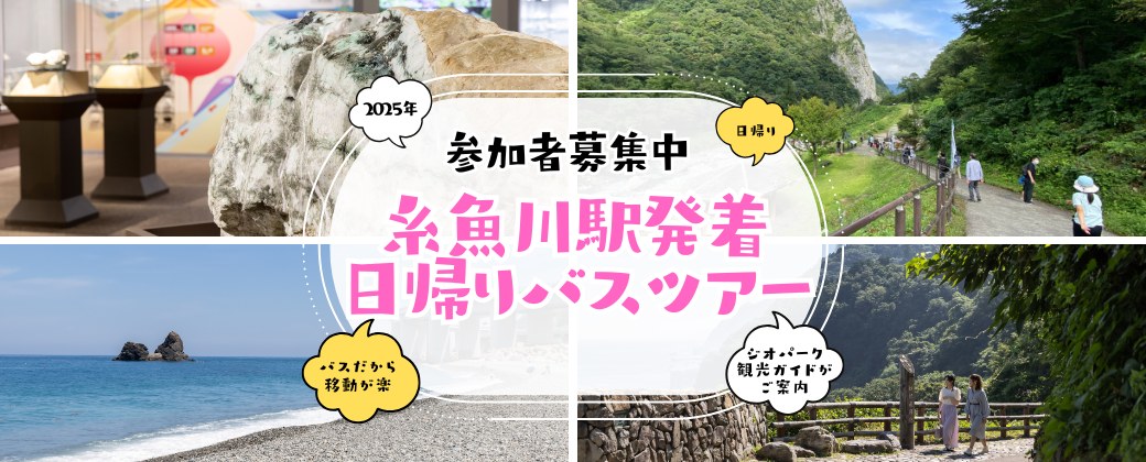 定期観光バス2025