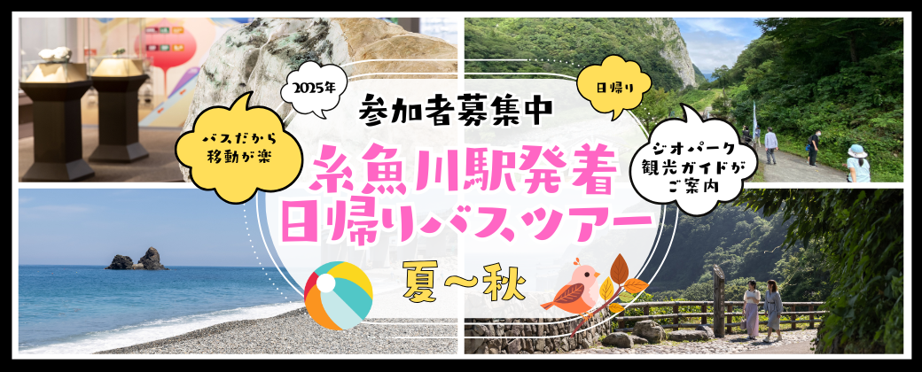 定期観光バス2025
